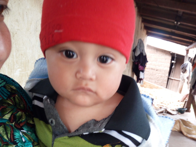 Estuardo