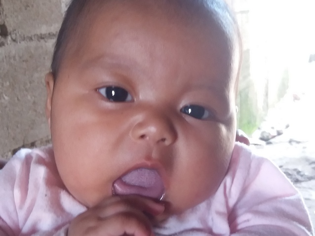 Deydamaris