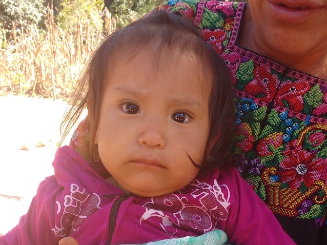 Zoila