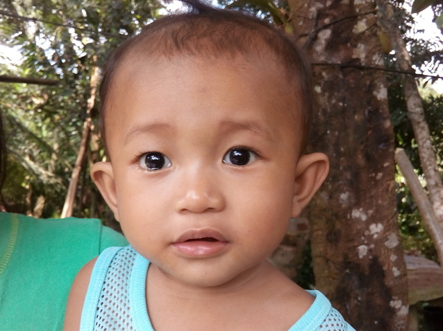 Radin