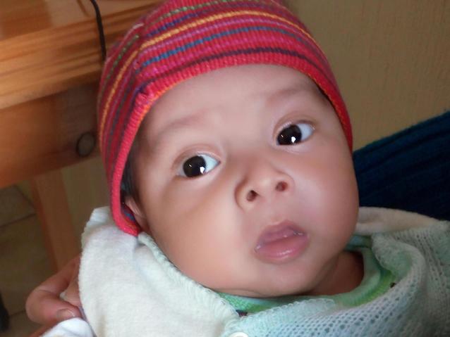 Anderson