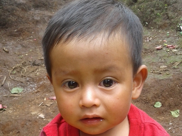 Wilson
