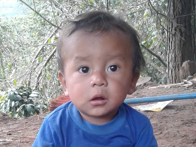 Gerson