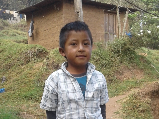 Cesar