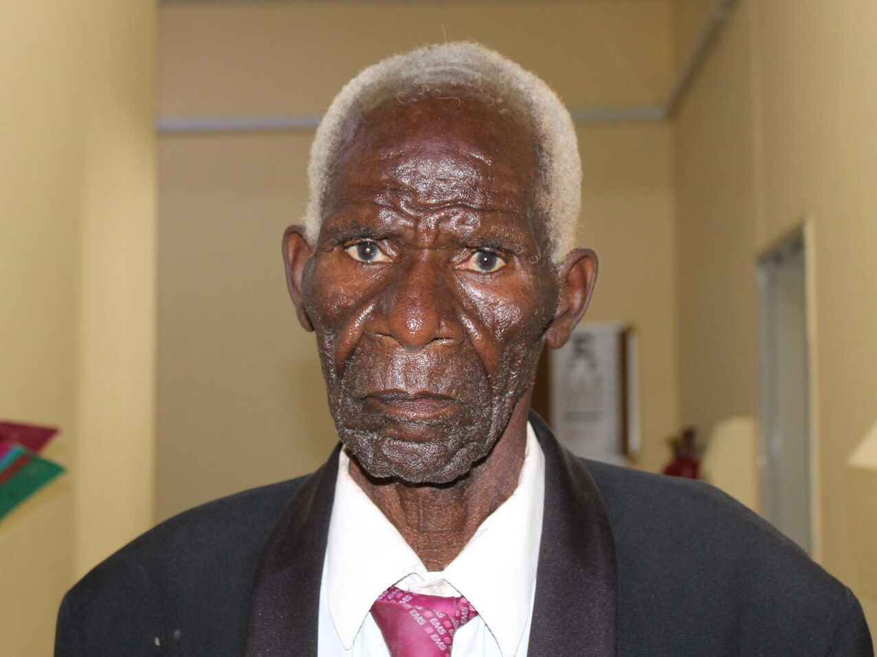 Vikisoni