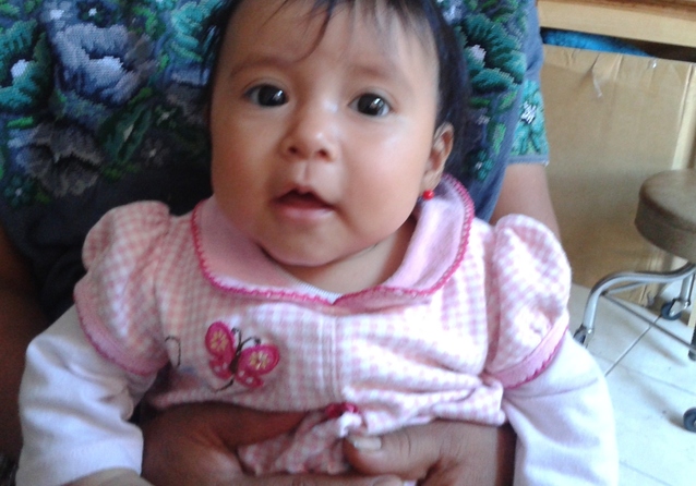 Estela