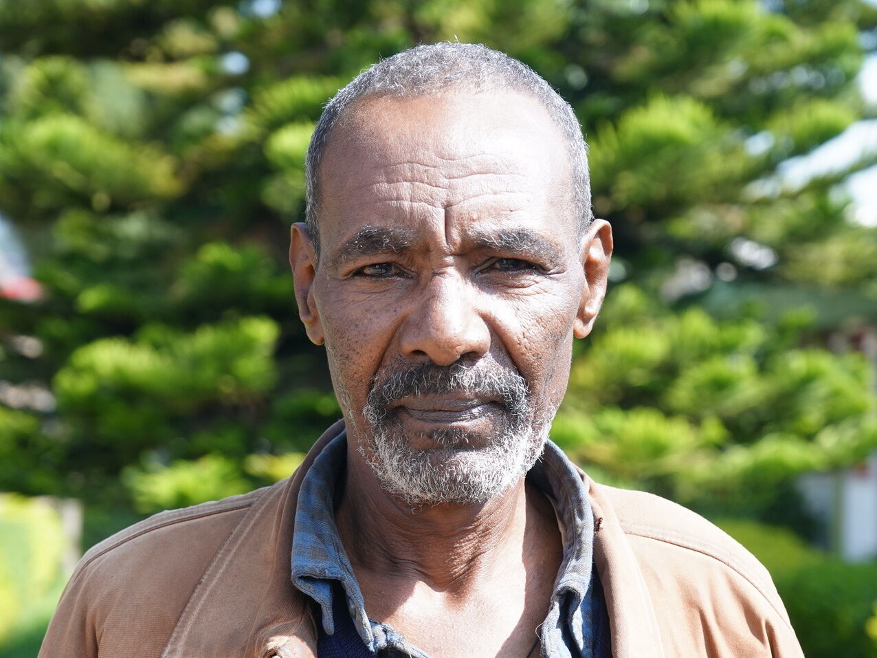Birhanu