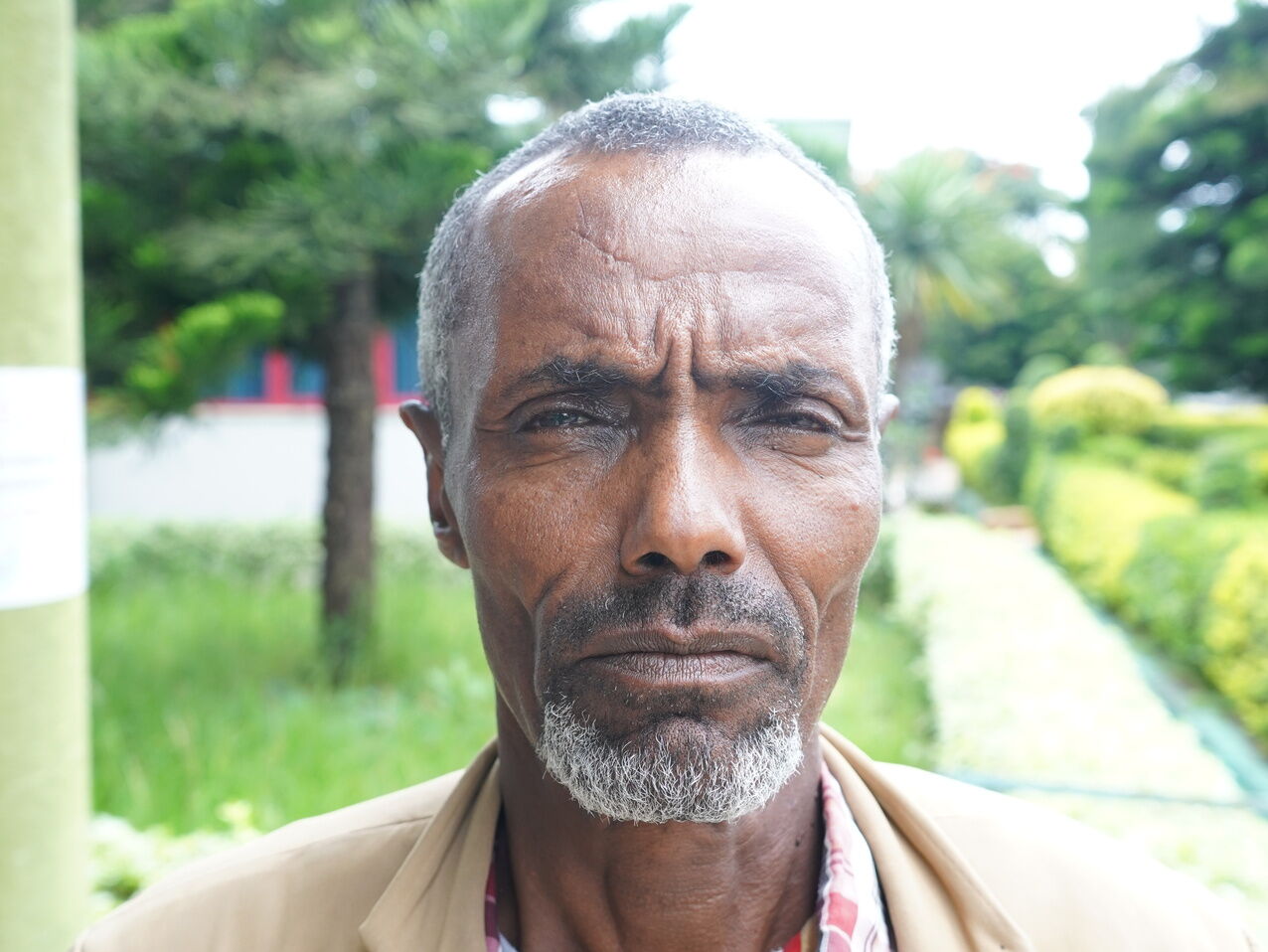 Feyisa