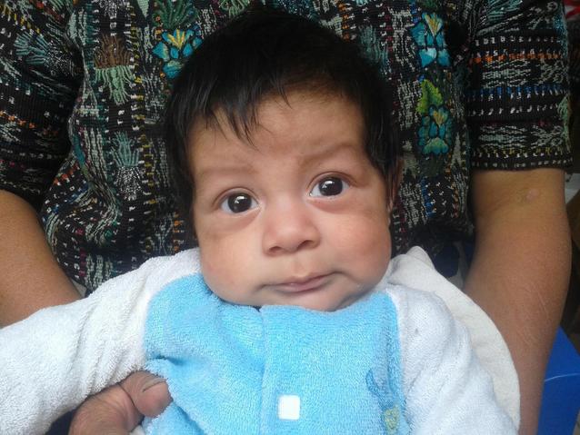 Fredy
