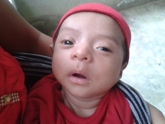 Libni
