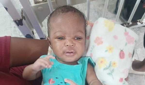 Photo of Gabrius post-operation