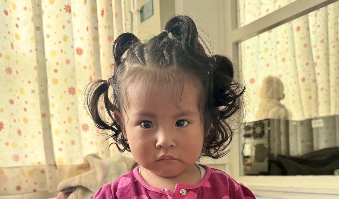 Photo of Ambar post-operation