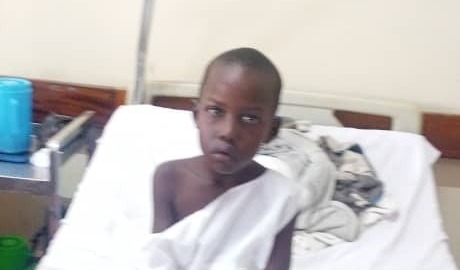 Photo of Poni post-operation