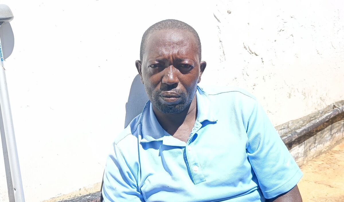 Photo of Julius post-operation