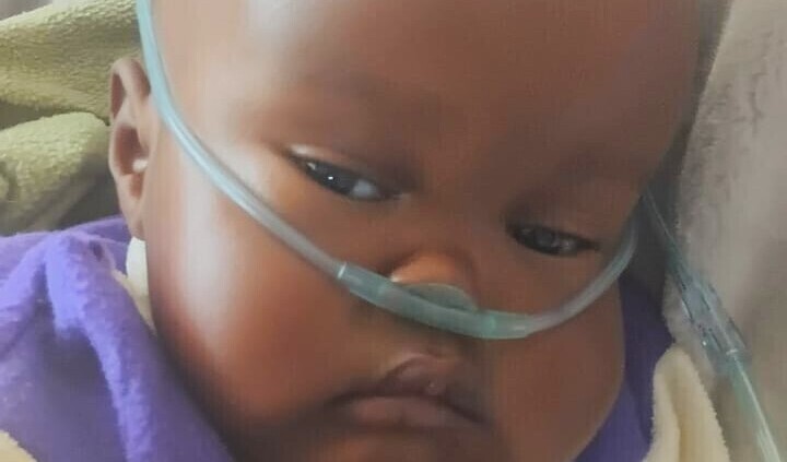 Photo of Julius post-operation