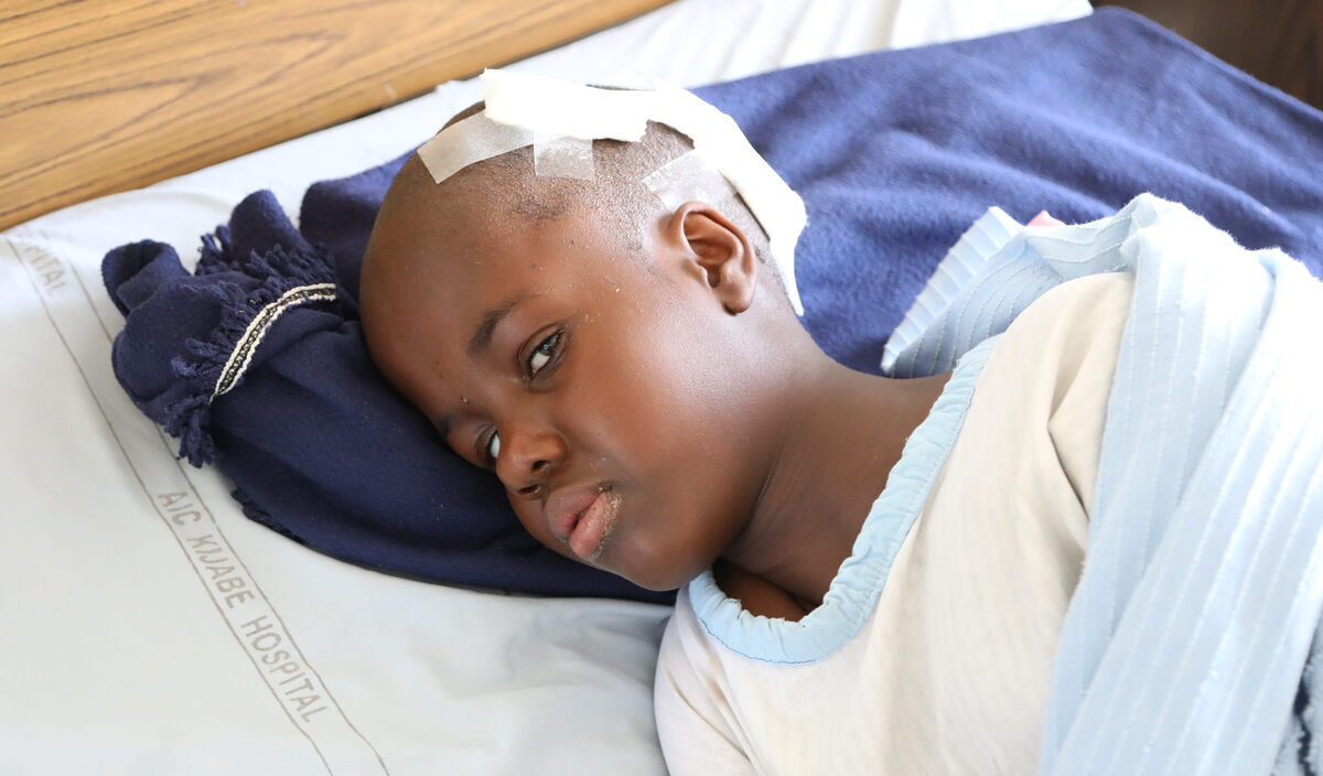 Photo of Lucy post-operation